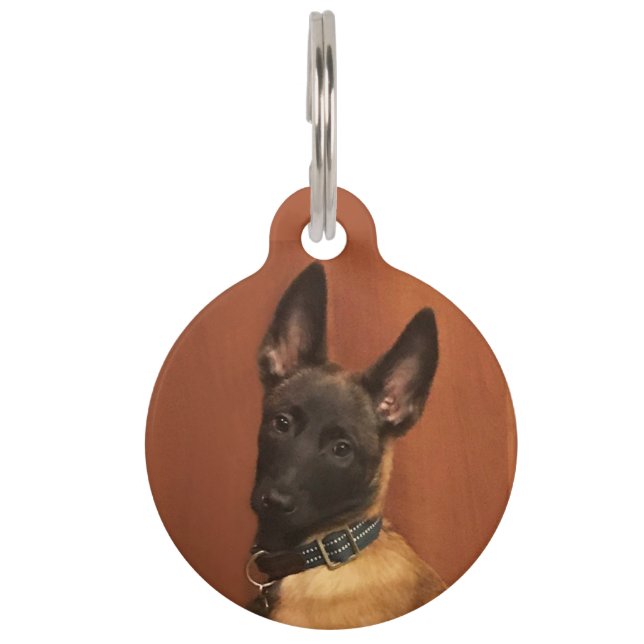 Malinois Dog Huisdierpenning (Voorkant)