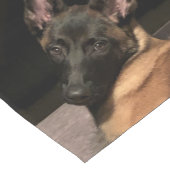 Malinois Dog Korte Tafelloper (Hoek)