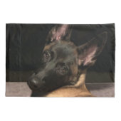 Malinois Dog Kussensloop (Achterkant)