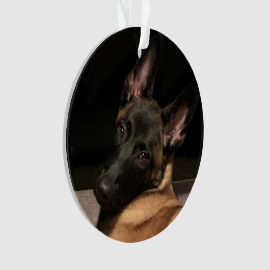 Malinois Dog Ornament (voorkant)