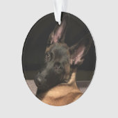 Malinois Dog Ornament (voorkant)