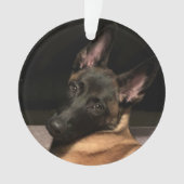 Malinois Dog Ornament (voorkant)