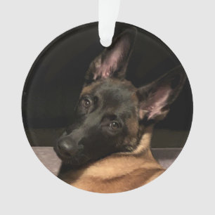 Malinois Dog Ornament