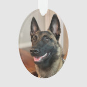 Malinois Dog Ornament (voorkant)