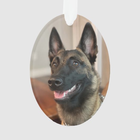 Malinois Dog Ornament (achterkant)