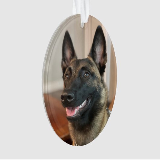 Malinois Dog Ornament (voorkant)