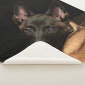 Malinois Dog Sherpa Deken (3/4)