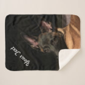 Malinois Dog Sherpa Deken (Voorkant (horizontaal))