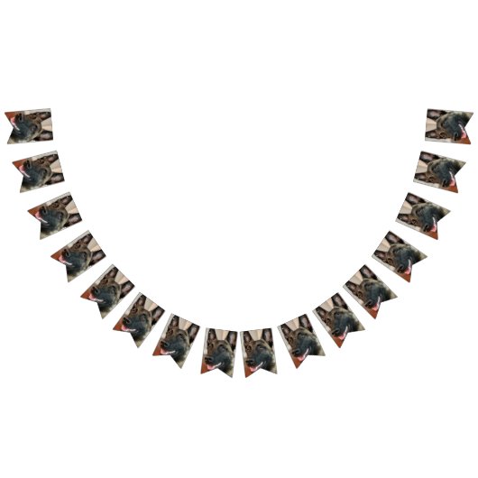 Malinois Dog Vlaggetjes (Alle)