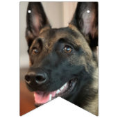 Malinois Dog Vlaggetjes (Derde vlag)