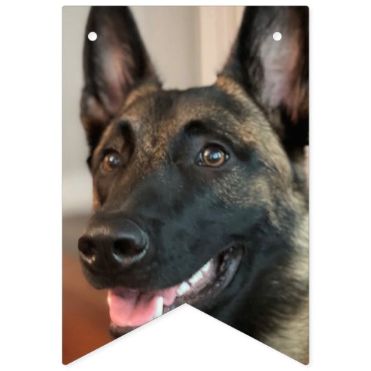 Malinois Dog Vlaggetjes (Derde vlag)