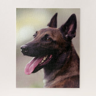 Malinois duitse herdershond portret hond legpuzzel