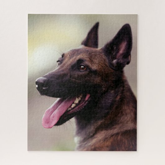 Malinois duitse herdershond portret hond legpuzzel (Verticaal)