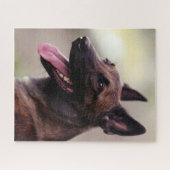 Malinois duitse herdershond portret hond legpuzzel (Horizontaal)