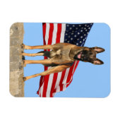 Malinois en Vlag flexibele magneet (Horizontaal)