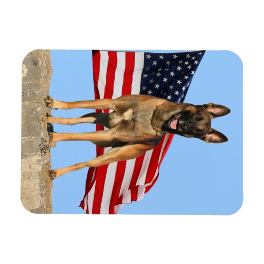 Malinois en Vlag flexibele magneet (Horizontaal)