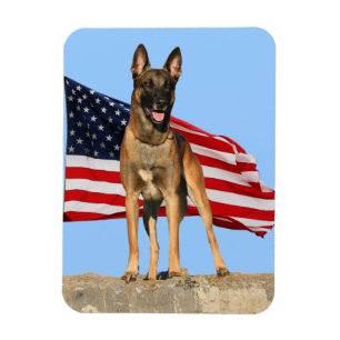 Malinois en Vlag flexibele magneet