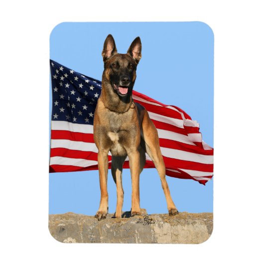 Malinois en Vlag flexibele magneet (Verticaal)