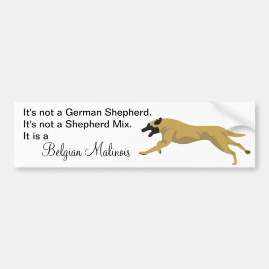 Malinois GEEN Duitse Herder Bumpersticker (Voorkant)