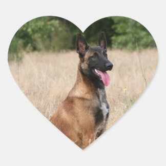 malinois hart sticker