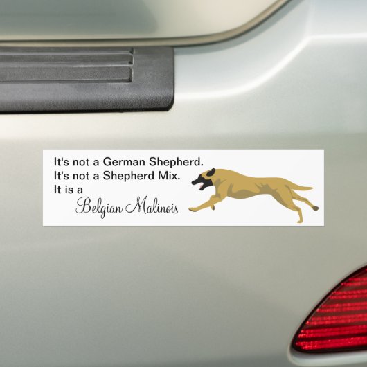 Malinois NOT German Shepherd Bumpersticker (Op auto)