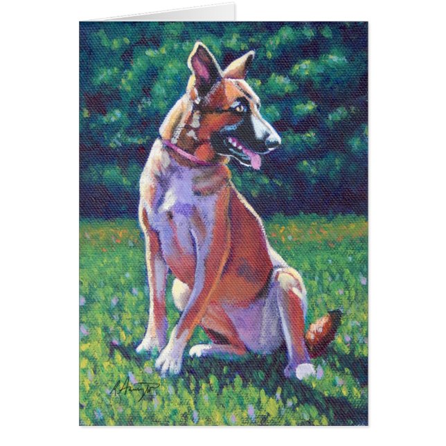 Malinois Shepherd in Grassy Field (Voorkant)