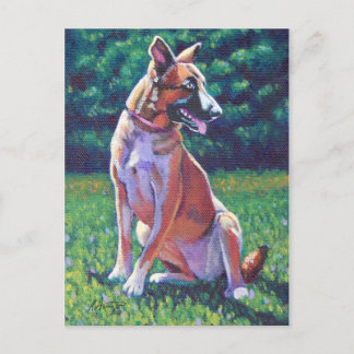 Malinois Shepherd in Grassy Field Briefkaart