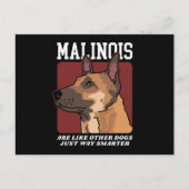 Malinois zijn slimmere Belgische malinois Briefkaart (Voorkant)