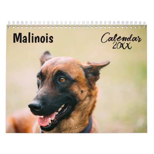 Malinoiskalender 2026 kalender (Hoes)
