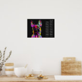 Malinoispuppy - Belgisch herder — Maligator Poster (Keuken)