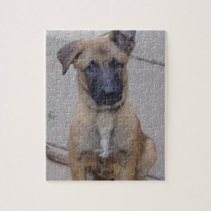 malinoispuppy sit.png legpuzzel