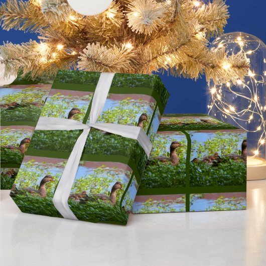 Mallard and Ducklings-Swimming by Shirley Taylor Cadeaupapier (Feestdagen)