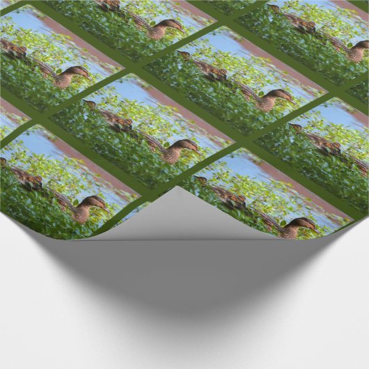 Mallard and Ducklings-Swimming by Shirley Taylor Cadeaupapier (Hoek)