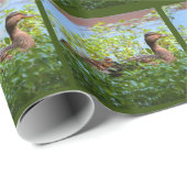 Mallard and Ducklings-Swimming by Shirley Taylor Cadeaupapier (Rol Hoek)