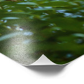 Mallard and Ducklings-Swimming by Shirley Taylor Foto Afdruk (Hoek)