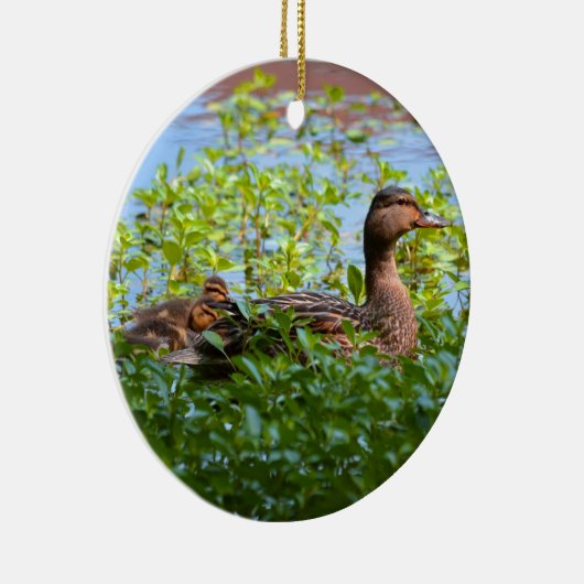 Mallard and Ducklings-Swimming by Shirley Taylor Keramisch Ornament (Rechts)
