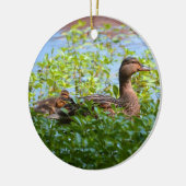 Mallard and Ducklings-Swimming by Shirley Taylor Keramisch Ornament (Links)