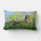 Mallard and Ducklings-Swimming by Shirley Taylor Kussen (Voorkant)