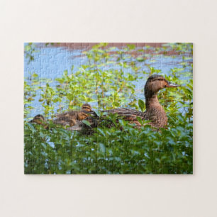 Mallard and Ducklings-Swimming by Shirley Taylor Legpuzzel