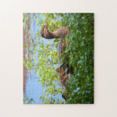 Mallard and Ducklings-Swimming by Shirley Taylor Legpuzzel (Verticaal)