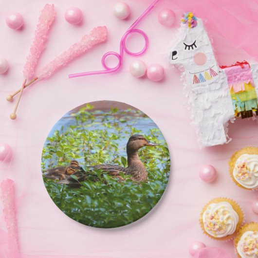 Mallard and Ducklings-Swimming by Shirley Taylor Papieren Bordje (Feest)