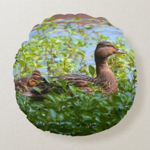 Mallard and Ducklings-Swimming by Shirley Taylor Rond Kussen