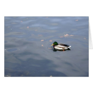 Mallard Blur kaart