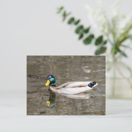 Mallard Briefkaart (Staand voorkant)