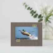 Mallard Briefkaart (Staand voorkant)