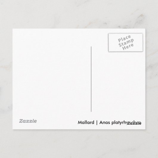 Mallard Briefkaart (Achterkant)
