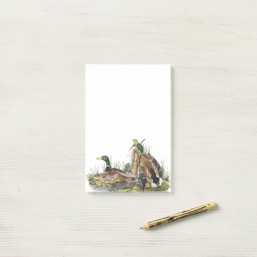Mallard door Audubon Post-it® Notes (Op bureau)