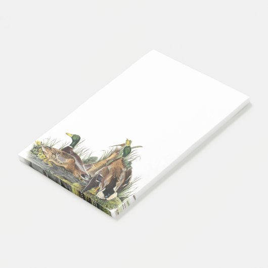 Mallard door Audubon Post-it® Notes (Schuin)