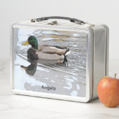 Mallard Drake (In situ)