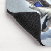 Mallard Drake Birdlover Wildlife Foto Muismat (Hoek)